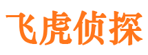 渑池侦探